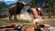 Far Cry 4 PS4 kaina ir informacija | Kompiuteriniai žaidimai | pigu.lt