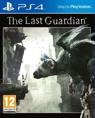 The Last Guardian PS4 цена и информация | Компьютерные игры | pigu.lt