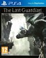 The Last Guardian PS4 цена и информация | Kompiuteriniai žaidimai | pigu.lt