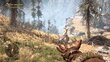 Far Cry Primal PS4 цена и информация | Kompiuteriniai žaidimai | pigu.lt