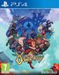 Owlboy PS4 kaina ir informacija | Kompiuteriniai žaidimai | pigu.lt