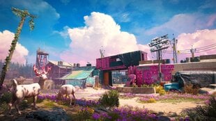 Far Cry New Dawn Superbloom Edition PS4 цена и информация | Компьютерные игры | pigu.lt