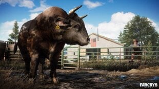 Far Cry 4 & Far Cry 5 (Double Pack) PS4 цена и информация | Компьютерные игры | pigu.lt