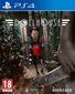 Dollhouse PS4 kaina ir informacija | Kompiuteriniai žaidimai | pigu.lt