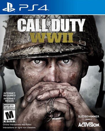 Call of Duty: WW II PS4 kaina ir informacija | Kompiuteriniai žaidimai | pigu.lt