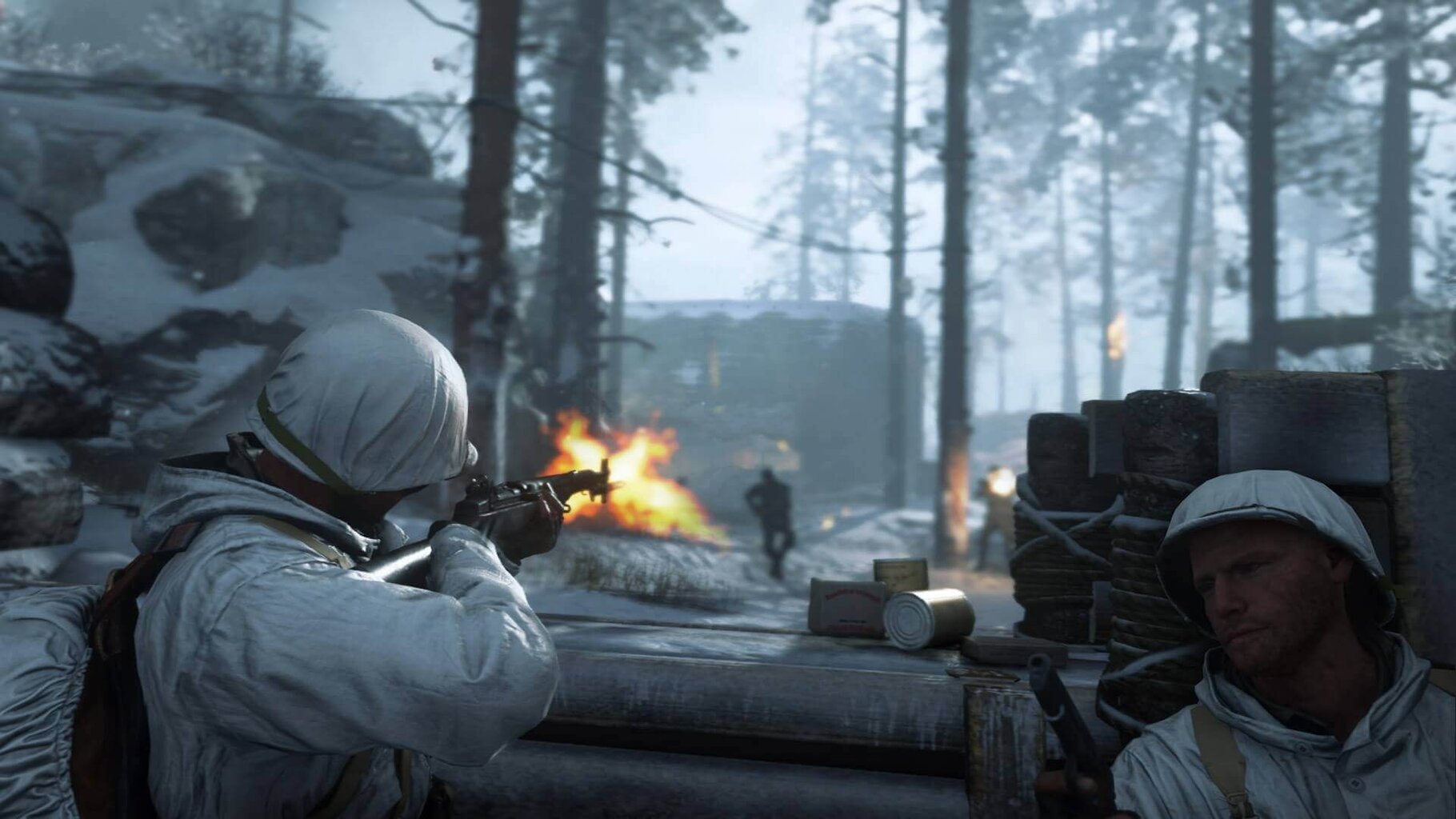 Call of Duty: WW II PS4 kaina ir informacija | Kompiuteriniai žaidimai | pigu.lt