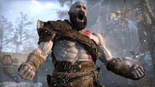 God of War Standard Edition PS4 kaina ir informacija | Kompiuteriniai žaidimai | pigu.lt