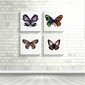 Paveikslas Geltonas drugelis, 70x70 cm цена и информация | Reprodukcijos, paveikslai | pigu.lt