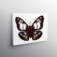 Reprodukcija Mistinis drugelis, 60x60 cm kaina ir informacija | Reprodukcijos, paveikslai | pigu.lt