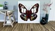 Reprodukcija Mistinis drugelis, 60x60 cm kaina ir informacija | Reprodukcijos, paveikslai | pigu.lt
