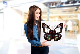 Reprodukcija Mistinis drugelis, 60x60 cm цена и информация | Репродукции, картины | pigu.lt