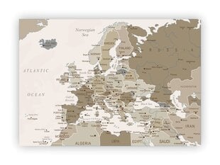 Kamštinis paveikslas Europos žemėlapis, rusvas, 100x50 cm. цена и информация | Репродукции, картины | pigu.lt