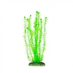 Aqua Nova пластиковое растение 30см цена и информация | Аквариумные растения и декорации | pigu.lt