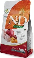 Сухой корм для кошек с курицей Farmina Pet Food N&D Pumpkin feline Adult 1,5 кг цена и информация | Сухой корм для кошек | pigu.lt