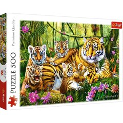 Dėlionė Trefl Tigrų šeimyna, 500 d. kaina ir informacija | Dėlionės (puzzle) | pigu.lt