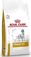 Корм для собаки при проблемах с почками Royal Canin Dog Urinary S/O, 13 кг цена и информация |  Сухой корм для собак | pigu.lt