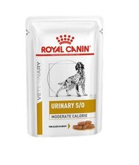 Royal Canin antsvorio turintiems šunims, 12x100 g kaina ir informacija | Konservai šunims | pigu.lt