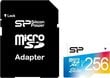 Silicon Power SP256GBSTXBU1V20SP 256 GB цена и информация | Atminties kortelės fotoaparatams, kameroms | pigu.lt