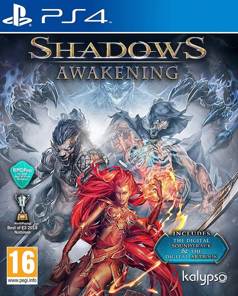 Компьютерная игра PS4 Shadows: Awakening цена | pigu.lt