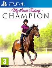 PS4 My Little Riding Champion цена и информация | Компьютерные игры | pigu.lt