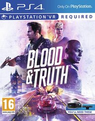 Игра Blood & Truth для PlayStation 4 VR, 711719999393 цена и информация | Компьютерные игры | pigu.lt