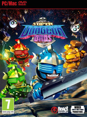 Super Dungeon Bros, PC kaina ir informacija | Kompiuteriniai žaidimai | pigu.lt