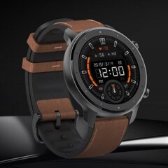 Amazfit GTR Aluminum Alloy цена и информация | Смарт-часы (smartwatch) | pigu.lt