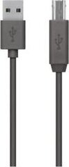 Belkin, USB-A/USB-B, 1.8 м цена и информация | Кабели и провода | pigu.lt