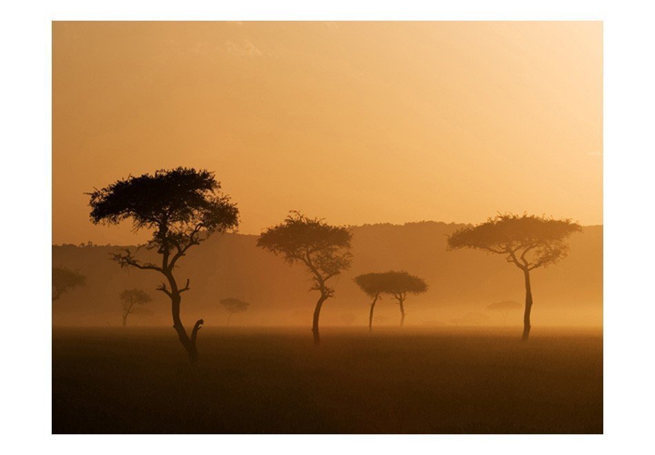 Fototapetai - Masai Mara, Kenija kaina ir informacija | Fototapetai | pigu.lt