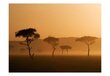 Fototapetai - Masai Mara, Kenija цена и информация | Fototapetai | pigu.lt