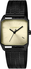 Женские часы Esprit ES1L071M0045 цена и информация | Женские часы | pigu.lt