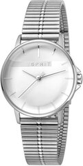 Moteriškas laikrodis Esprit ES1L065M0065 kaina ir informacija | Moteriški laikrodžiai | pigu.lt