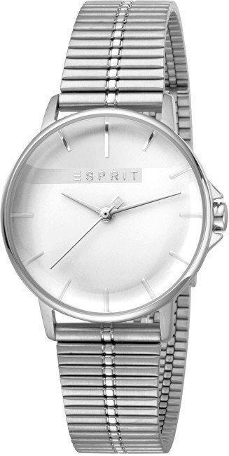 Moteriškas laikrodis Esprit ES1L065M0065 kaina ir informacija | Moteriški laikrodžiai | pigu.lt