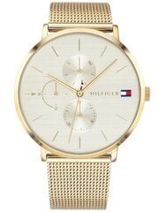 Часы для женщин Tommy Hilfiger Jenna zf509b цена и информация | Tommy Hilfiger Одежда, обувь и аксессуары | pigu.lt