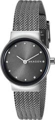 Часы для женщин Skagen Freja SKW2700 цена и информация | Женские часы | pigu.lt