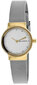Moteriškas laikrodis Skagen Freja SKW2666 kaina ir informacija | Moteriški laikrodžiai | pigu.lt
