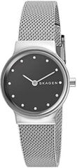 Женские часы Skagen Freja SKW2667 цена и информация | Женские часы | pigu.lt