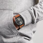 Vyriškas laikrodis Diesel rasp DZ1764 цена и информация | Vyriški laikrodžiai | pigu.lt