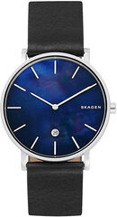 Женские часы Skagen Hagen SKW6471 цена и информация | Женские часы | pigu.lt