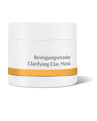 Veido kaukė Dr. Huschka Clarifying Clay Mask, 90 g kaina ir informacija | Veido kaukės, paakių kaukės | pigu.lt