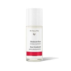 Rutulinis dezodorantas Dr. Hauschka Sage Mint 50 ml kaina ir informacija | Dezodorantai | pigu.lt