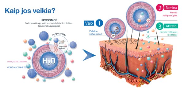 Liposominis valiklis Sesderma Sensyses, 200 ml kaina ir informacija | Veido prausikliai, valikliai | pigu.lt