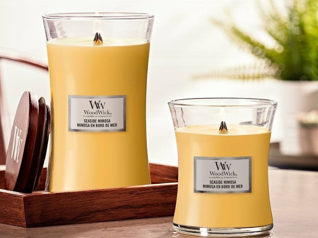 WoodWick kvapioji žvakė Seaside Mimosa, 453,6 g kaina ir informacija | Žvakės, Žvakidės | pigu.lt