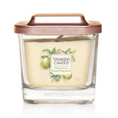 Kvapioji žvakė Yankee Candle Citrus Grove 96 g kaina ir informacija | Žvakės, Žvakidės | pigu.lt