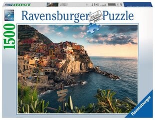 Пазл Ravensburger Вид на Cinque Terre, 1500 ч., 16227 цена и информация | Ravensburger Товары для детей и младенцев | pigu.lt