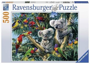 Пазл Ravensburger Коалы на дереве, 500 ч., 14826 цена и информация | Пазлы | pigu.lt