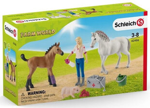 Набор фигурок Визит к ветеринару Schleich Farm World цена и информация | Игрушки для девочек | pigu.lt