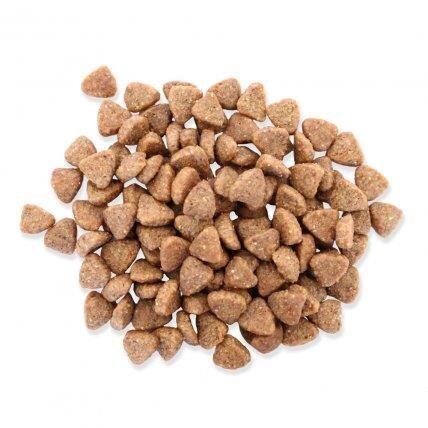 Fitmin Mini Maitenance sausas maistas suaugusiems šunims, 1.5 kg цена и информация | Sausas maistas šunims | pigu.lt