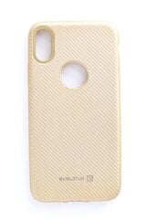 Evelatus Apple Iphone X Carbon Gold цена и информация | Чехлы для телефонов | pigu.lt
