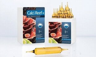 Аксессуар для морского наноаквариума Prodibio Calci Reef+, 10 шт. цена и информация | Аквариумы и оборудование | pigu.lt